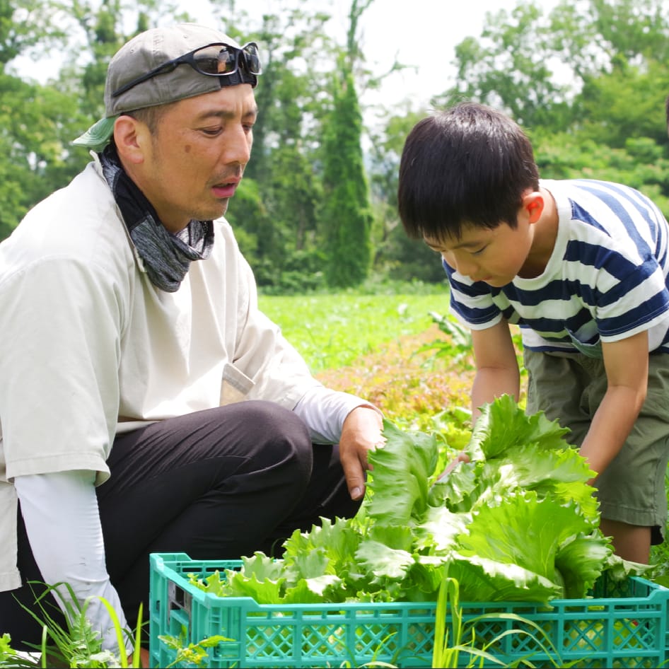 イメージ画像