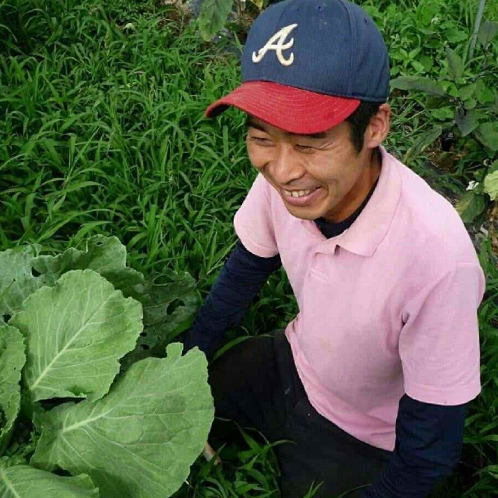 イメージ画像